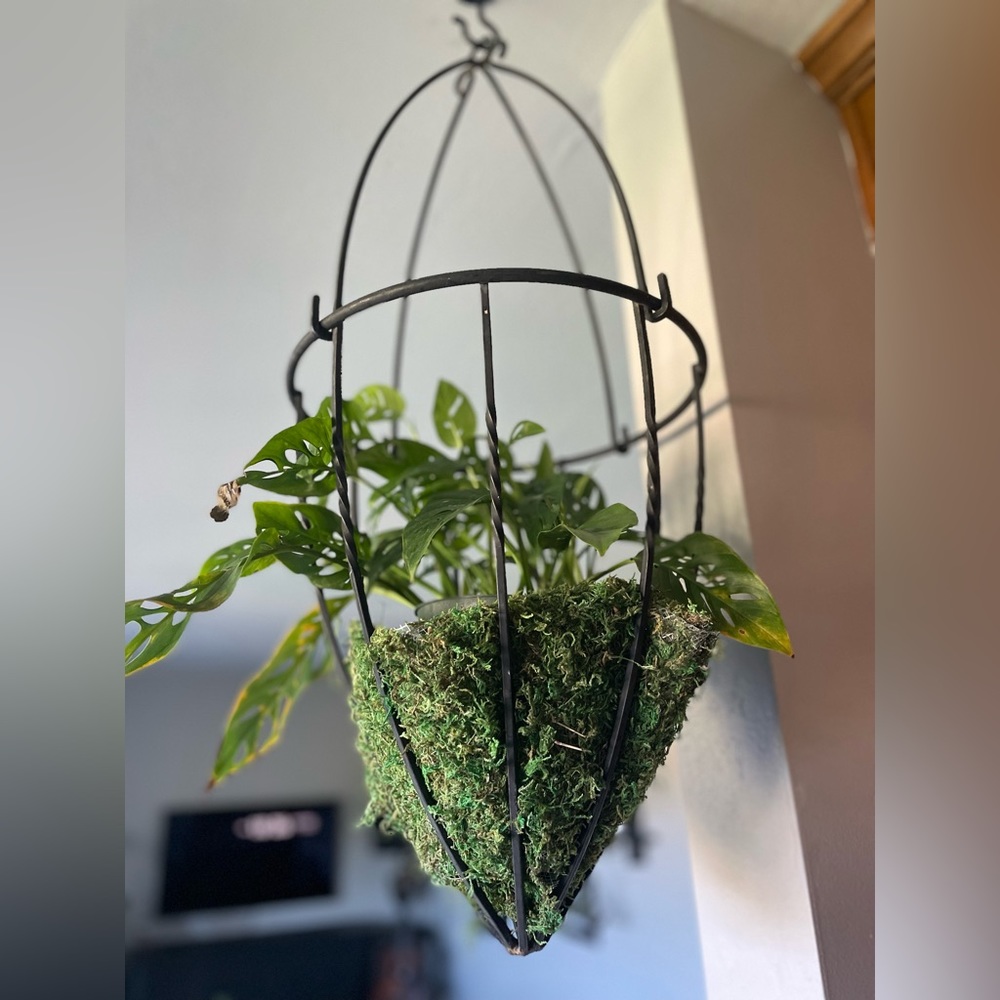 Metal iron hanging planter- vintage hanging plant holder-  plant pot